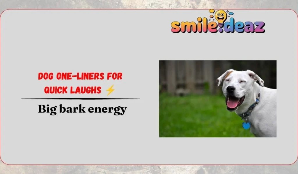 Dog One-Liners for Quick Laughs ⚡