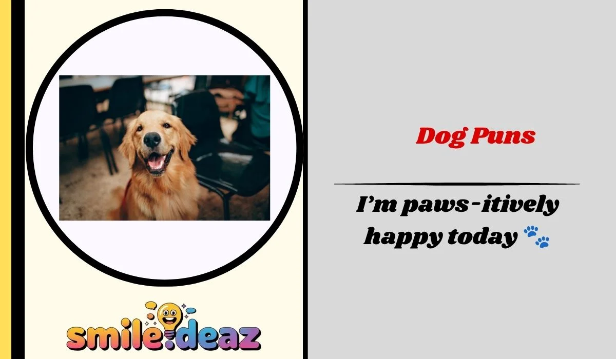 Dog Puns