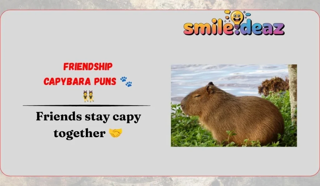 Friendship Capybara Puns ๐พ๐ฏ