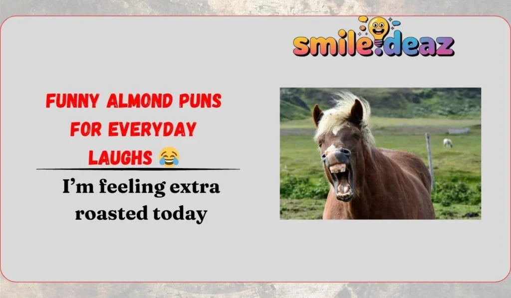 Funny Almond Puns for Everyday Laughs 😂