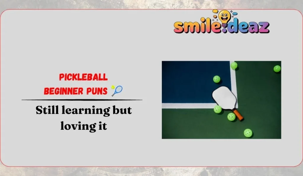 Pickleball Beginner Puns 🎾