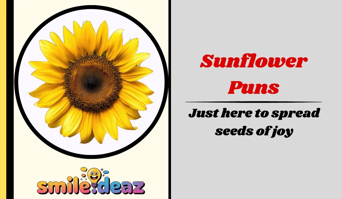 Sunflower Puns