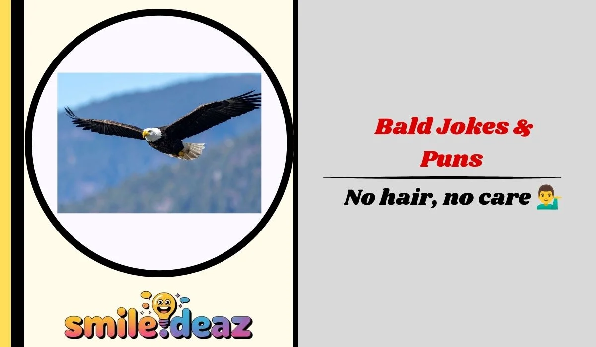 Bald Jokes & Puns