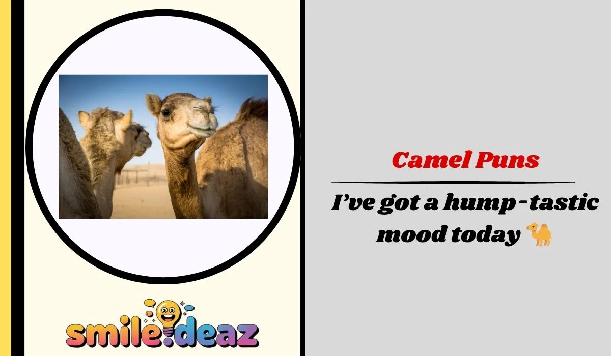 Camel Puns