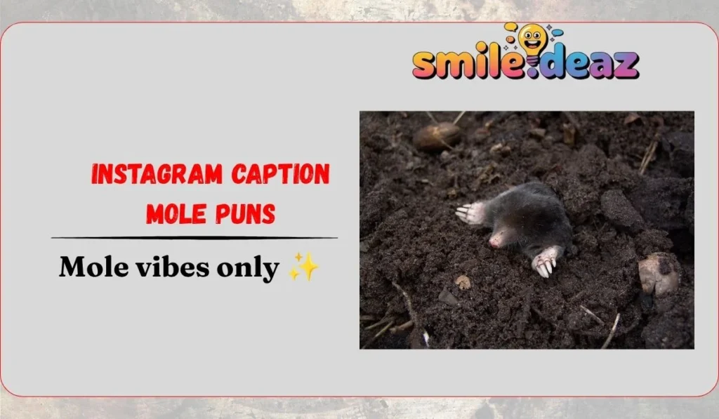 Instagram Caption Mole Puns