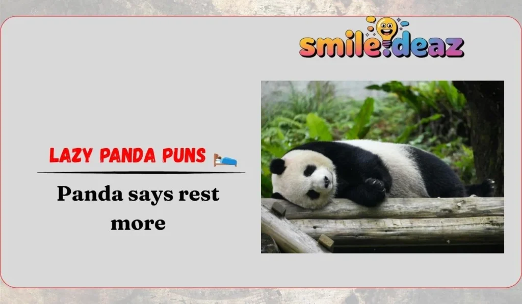 Lazy Panda Puns 🛌