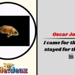 Oscar Jokes