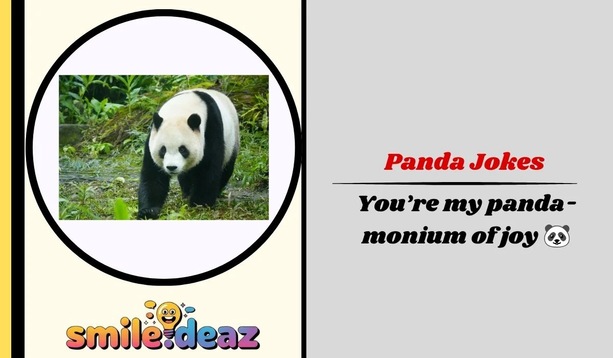 Panda Jokes