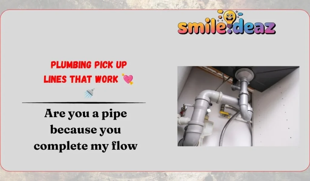 Plumbing Pick Up Lines That Work 💘🚿