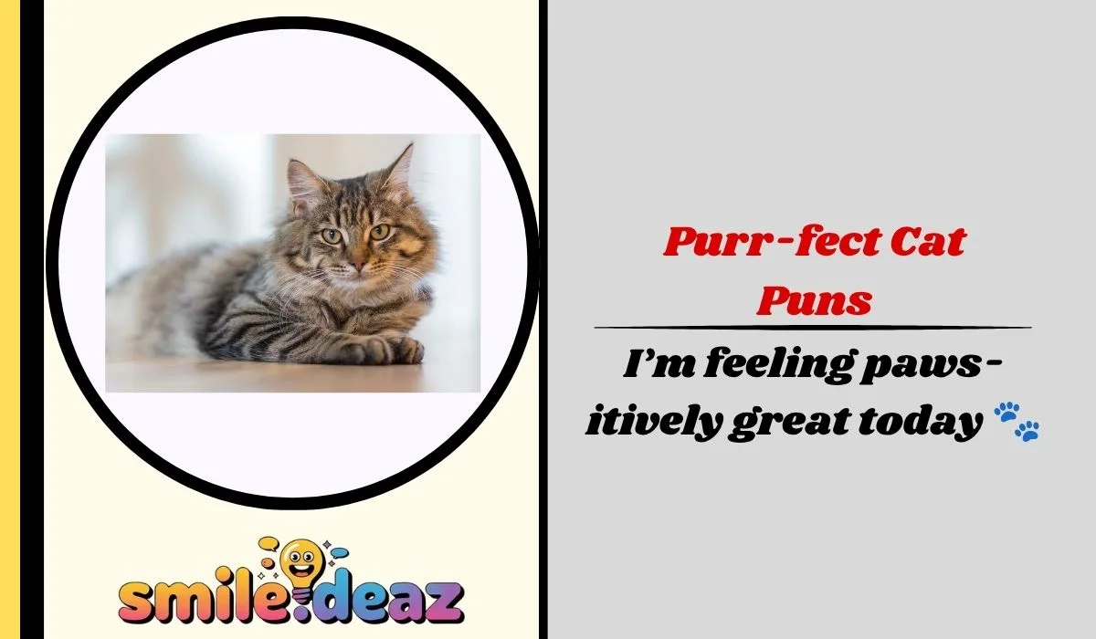 Purr-fect Cat Puns