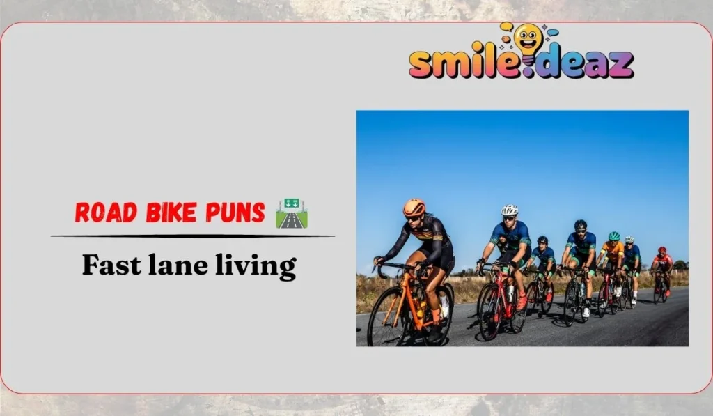 Road Bike Puns 🛣️