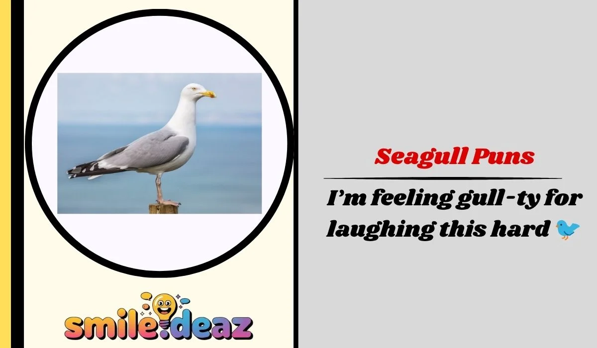 Seagull Puns