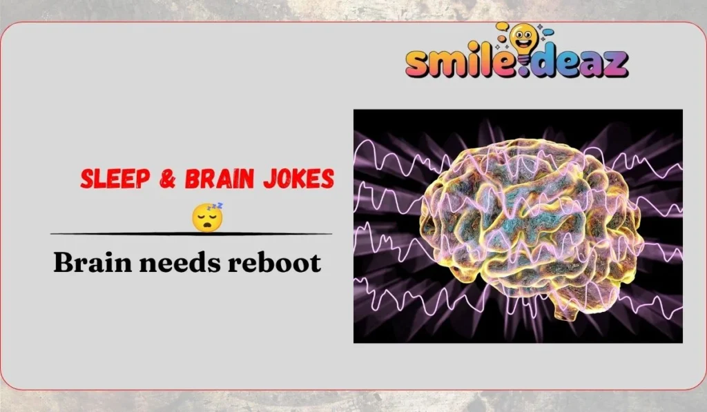 Sleep & Brain Jokes 😴