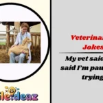 Veterinarian Jokes